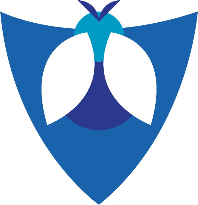 Klient 82 - Klient i KS Marketing Agency